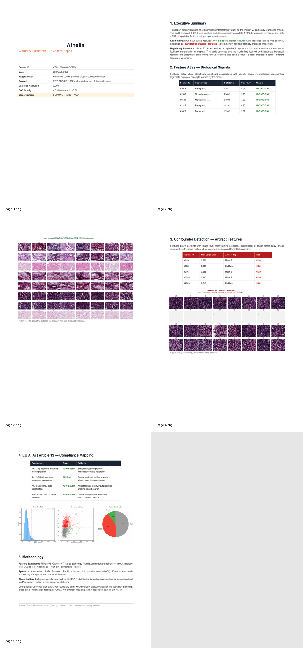 Evidence pack page 1 — report cover and metadata